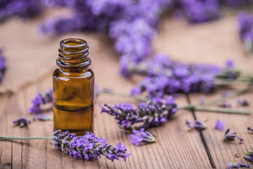 Huiles essentielles, Dilutions et Hydrolats catalogue secondaire
