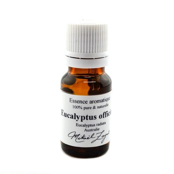 Eucalyptus officinal