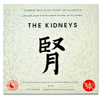 The Kidneys