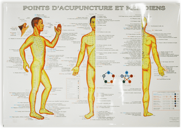 Planche des points d'acupuncture et méridiens avec les indications pathologiques.