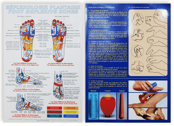 Planche de réflexologie plantaire (21 x 30 cm)