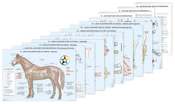 Planche Acupuncture vétérinaire: Cheval 12 planches