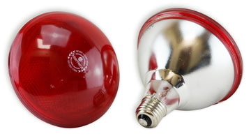 Ampoule infrarouge 175W rouge, 2 pièces/bte