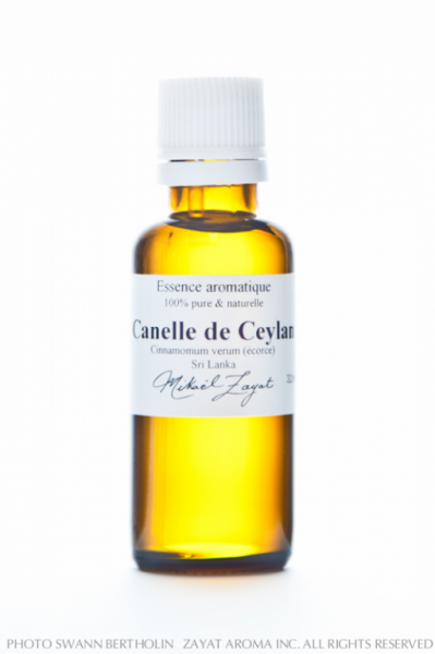 Cannelle de Ceylan, Écorce