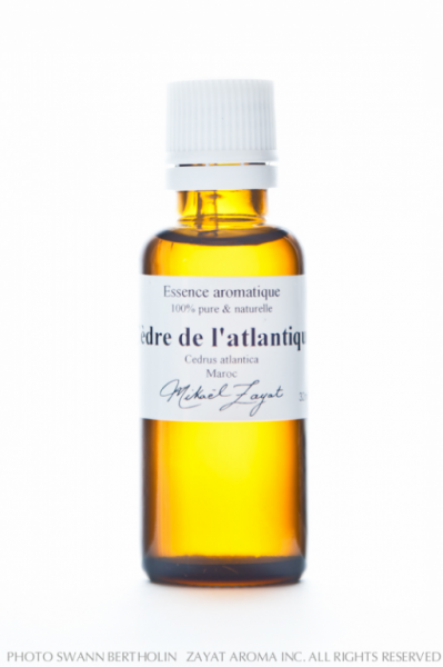 Cèdre de l'Atlas Bio