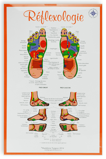 Planche de réflexologie de Madelaine Turgeon, 11x17'' (27x40cm)