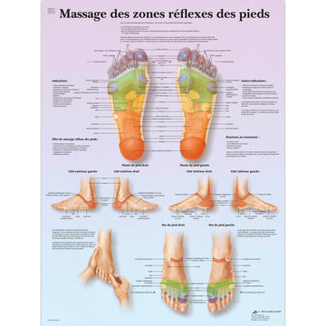 Le massage des zones réflexes des pieds, Planche, 20"x26", (50 x 67 cm) Français