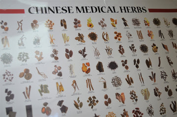 Planche,Chinese Medical Herbs (Laminée)