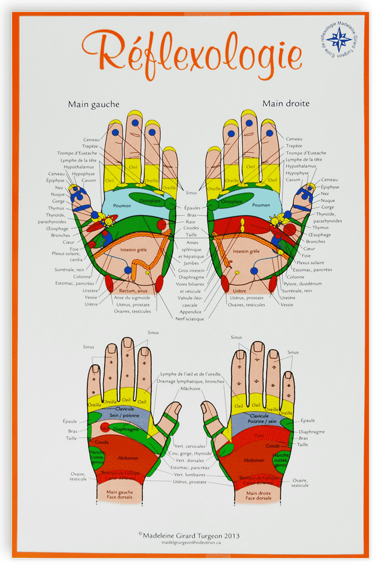 Planche de réflexologie de Madelaine Turgeon 11x17'' (27x40cm)