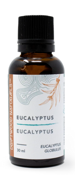 EUCALYPTUS - HUILE ESSENTIELLE PURE