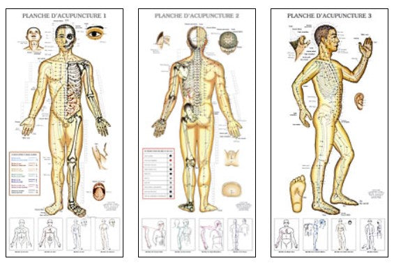 Planches d'acupuncture et méridiens (3)