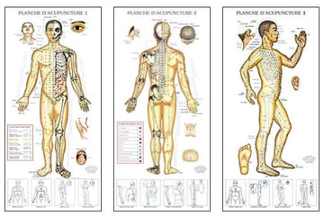 Planches d'acupuncture et méridiens (3)