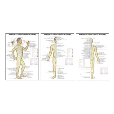 Points d'acupuncture et méridiens avec indications pathologiques (ens. 3 planches)