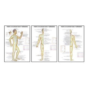Points d'acupuncture et méridiens avec indications pathologiques (ens. 3 planches)
