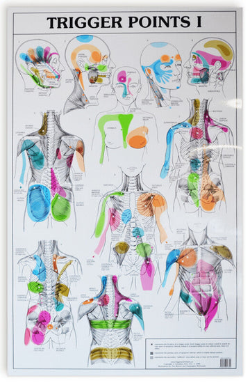 Charte Trigger Points I et II de J. Smolders, 53 x 85 cm