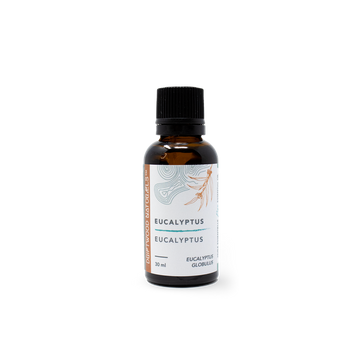 EUCALYPTUS - HUILE ESSENTIELLE PURE