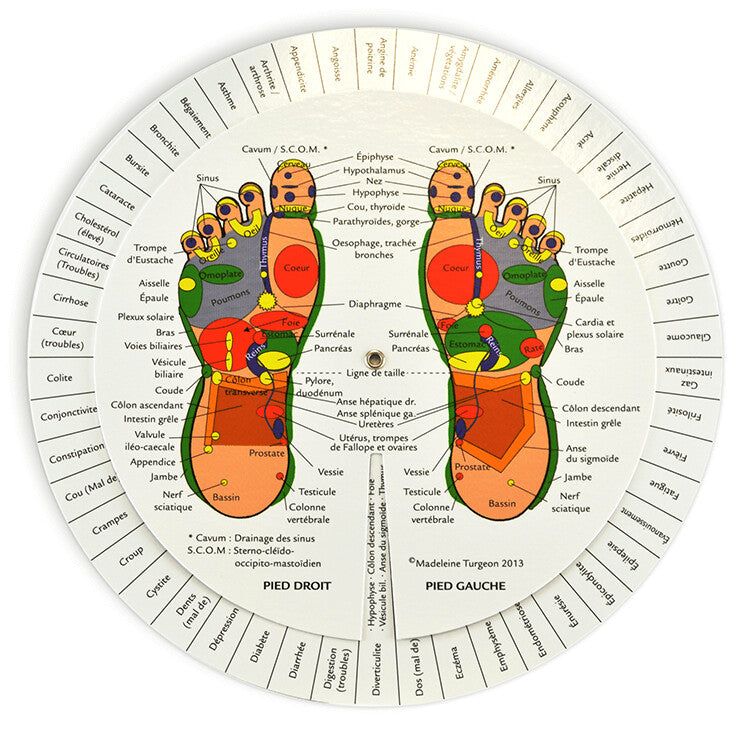 Révélateurs de réflexologie de Madelaine Turgeon Réflexologue