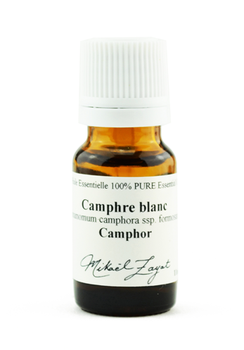 Camphre blanc