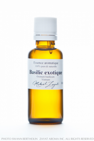 Basilic exotique Bio