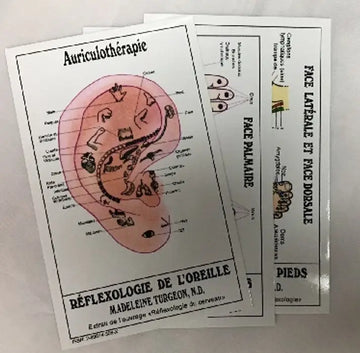 3 petites Cartes de Réflexologie (pochettes) de Madeleine Turgeon