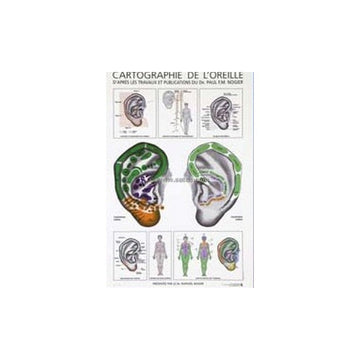 Cartographie de l'oreille par Nogier