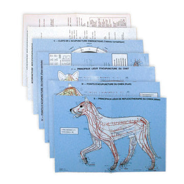 Planches d'acupuncture vétérinaire - Chat et chien