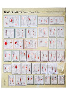 Planche anatomique,Trigger Points Charts ( 2 planches ), 23'' X 28'', Anglais de David Legge