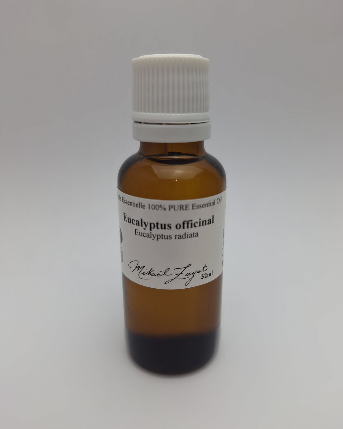 Eucalyptus officinal