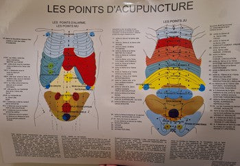 Planche - Les Points D'acupuncture