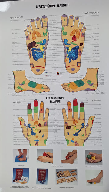 Réflexothérapie plantaire et palmaire