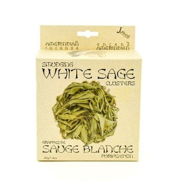 Feuilles de  Sauge Amérindienne (rituel de purification) 40g
