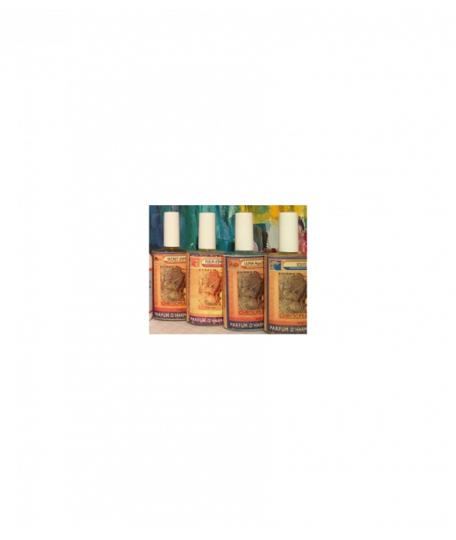 SPAGYRIE la technique alchimique - Solys
