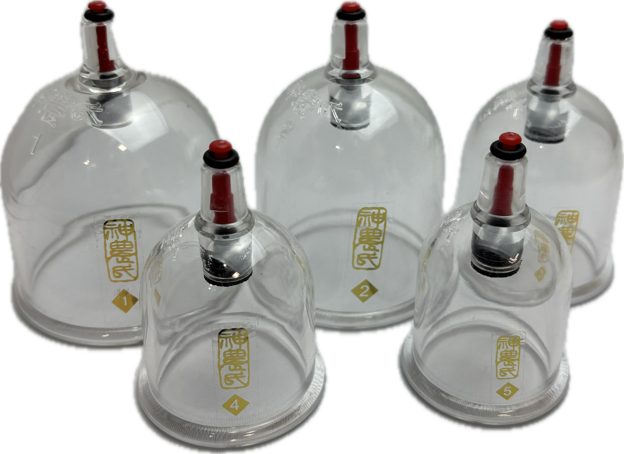 Ventouses en plastique à pompe