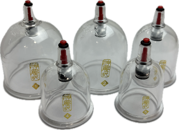 Ventouses en plastique à pompe